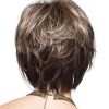 Women High Temperature Silk Short Hair Wig for Everyday Wear